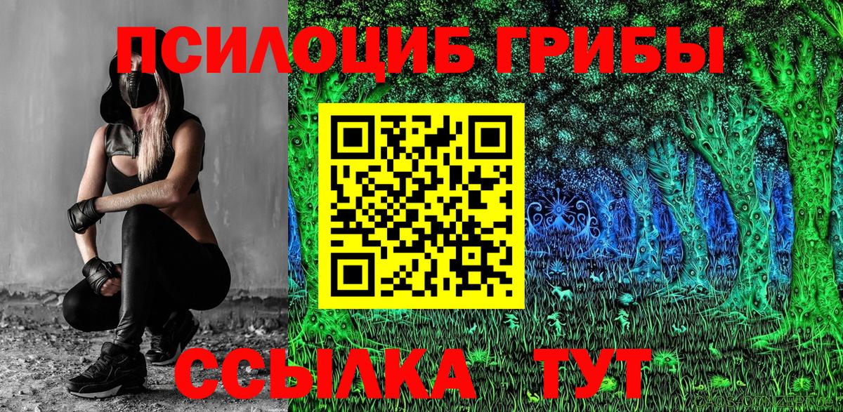 Псилоцибиновые грибы MAGIC MUSHROOMS  Вход с VPN  Петрозаводск 