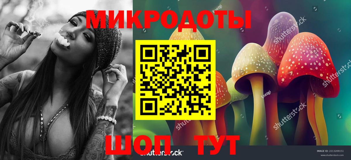 Галлюциногенные грибы Cubensis Петрозаводск