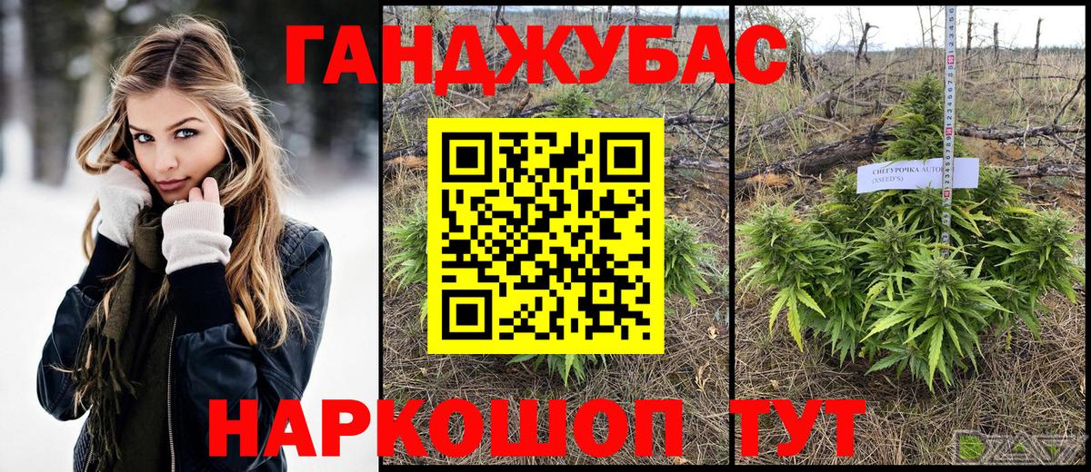 Каннабис ГИДРОПОН Петрозаводск